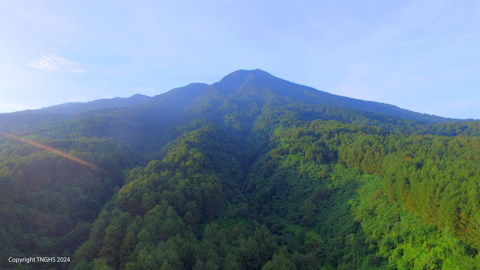 https://www.tnhalimunsalak.org/Profil Taman Nasional Gunung Halimun Salak
